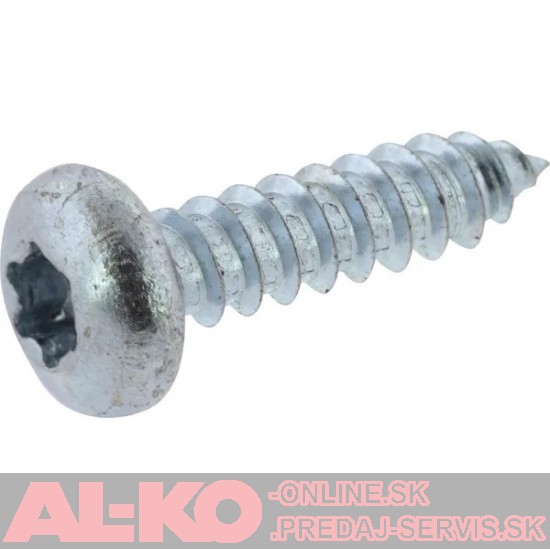 SKRUTKA 4,8X19 TORX - 702737