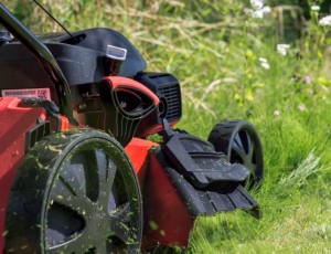 Vyžínač, krovinorez, kosačka či traktor?